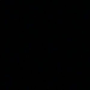 Meet your Posher, Rita